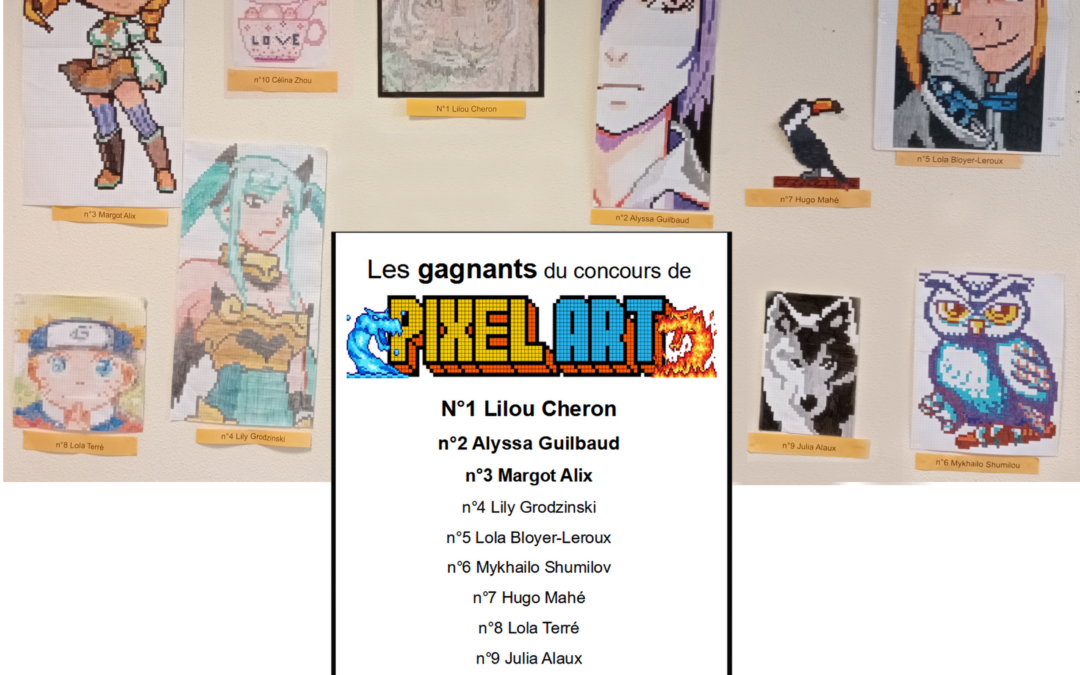 Les gagnants du concours de Pixel Art au CDI